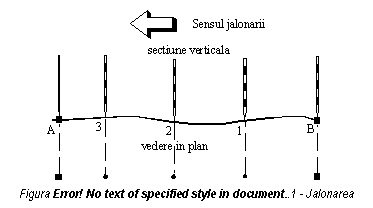 Text Box: 
Figura 3.1 - Jalonarea aliniamentelor.
